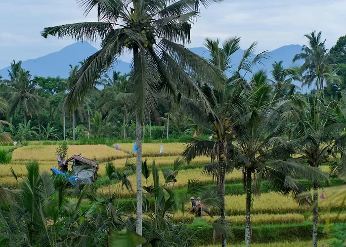 The Uma Tapan Penginyahan